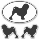 Suche nach lowchen Kleiner löwenhund