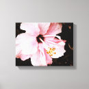 Suche nach hibiskus leinwandbilder Tropisch