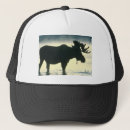 Recherche de taureau casquettes Animaux
