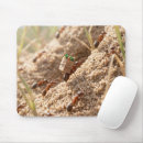 Recherche de fourmi tapis souris Insecte