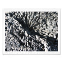 Recherche de bois de flottage art Sable