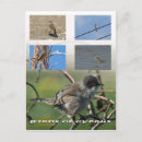 Recherche de mail cartes postales Nature