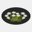 Suche nach edelweiß aufkleber Edelweiss