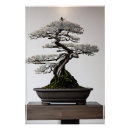 Recherche de bonsai posters Bonsaï
