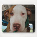 Suche nach mischung mousepads Hund