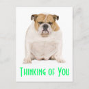 Recherche de chien anglais cartes postales Penser à vous