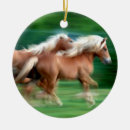 Recherche de emballage ornements Cheval