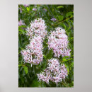 Suche nach farbbild poster Farbe