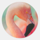 Recherche de exotique autocollants Animal