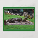 Recherche de l equateur cartes postales Guayaquil