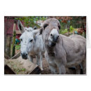 Suche nach lustiger esel postkarten Pferd