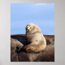 Suche nach stelle kunst Meer