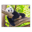 Recherche de baby calendriers Animal