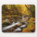Suche nach birkenbaum mousepads Wald