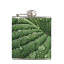 Suche nach natur flachmänner Grün