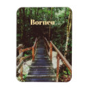 Suche nach wildtiere magnete Borneo