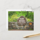 Suche nach muir postkarten Muir woods national monument