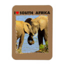 Recherche de afrique sud magnets Animal