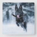 Recherche de shepherd horloges Animal