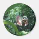 Recherche de dinosaure magnets Sauvage