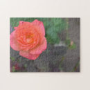 Recherche de corail puzzles Rose