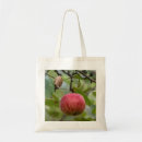 Recherche de pommes sacs Arbre