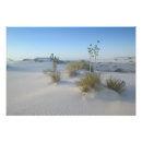 Suche nach strauch poster Natur