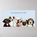 Recherche de chenille posters Animaux