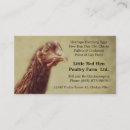 Recherche de poulet rouge cartes visite Oeufs