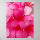 Suche nach plumeria poster Tropisch