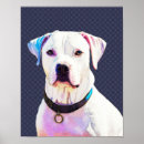 Recherche de chien blanc posters Animal