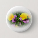 Suche nach stiefmütterchen buttons Gelb