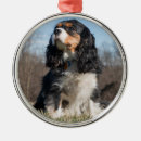 Recherche de cailloux ornements Animal