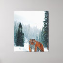 Suche nach schnee leinwandbilder Wild