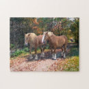 Recherche de napoléon puzzles Cheval