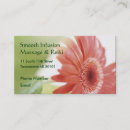 Recherche de marguerites de gerbera Marguerite de gerber