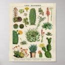 Recherche de cactus plant posters Pour enfants
