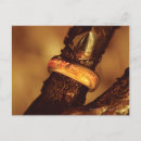 Suche nach herrschaft postkarten J r r tolkien