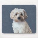 Recherche de compagnon animal tapis souris Pour tous
