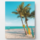Suche nach surfbrett fotoplatten Strand