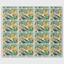 Suche nach paradiesvögel geschenkpapier Orange