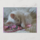 Recherche de little girl cartes postales Chaton