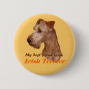 Recherche de terriers badges Chiens