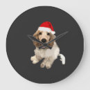 Recherche de loup blanc horloges Chien