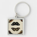 Suche nach insekten schlüsselanhänger Schmetterlinge