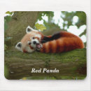 Suche nach roter panda mousepads Wald