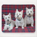 Recherche de westies tapis souris Blanc