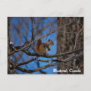 Recherche de ski mignon posters Froid