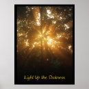 Suche nach lichter poster Baum