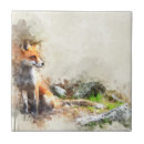 Recherche de renard carreaux Sauvage